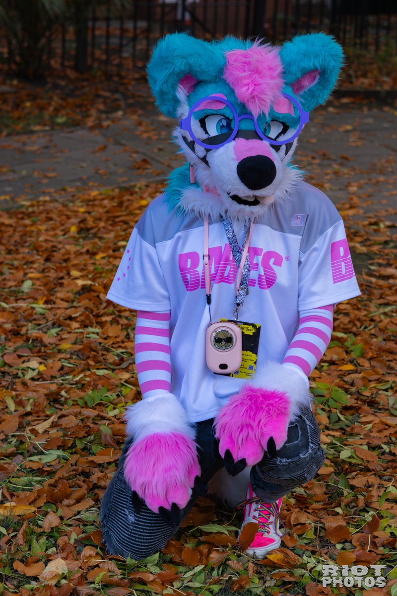 2025-11-08 MancFurs-202511-011.jpg