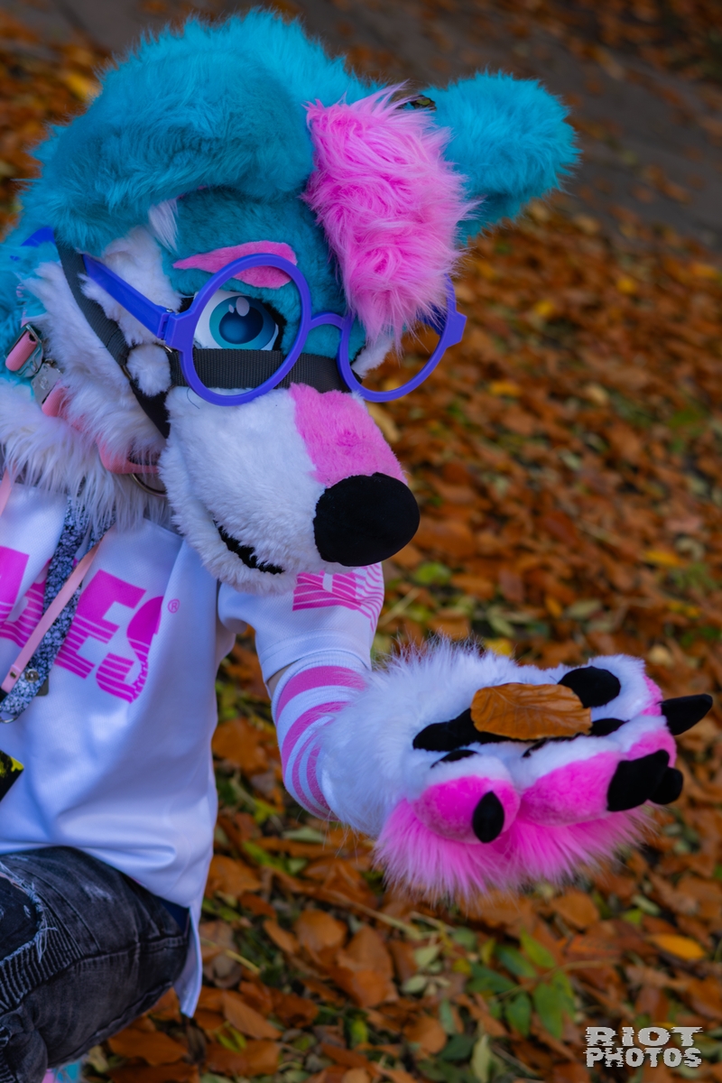 2025-11-08 MancFurs-202511-012.jpg