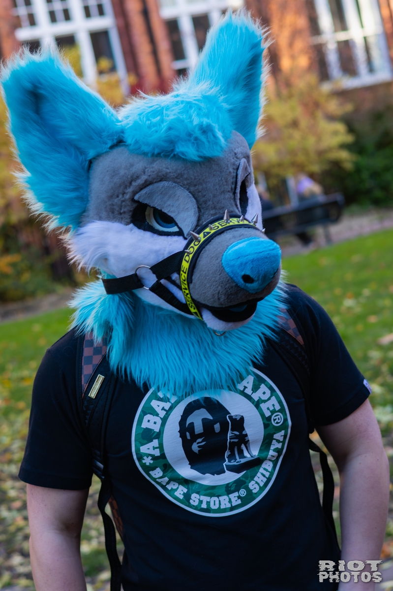 2025-11-08 MancFurs-202511-015.jpg
