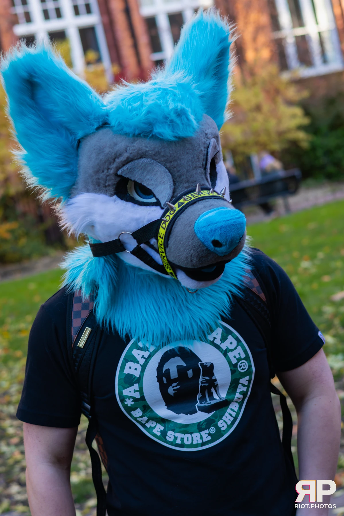 MancFurs - November, 2025 — 08 Nov 2025, Fluffy Riot photography — photo 15