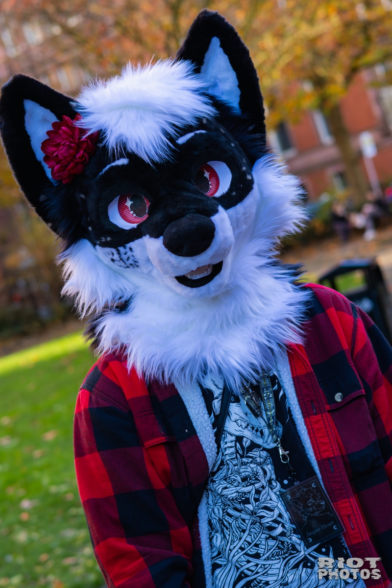 2025-11-08 MancFurs-202511-016.jpg