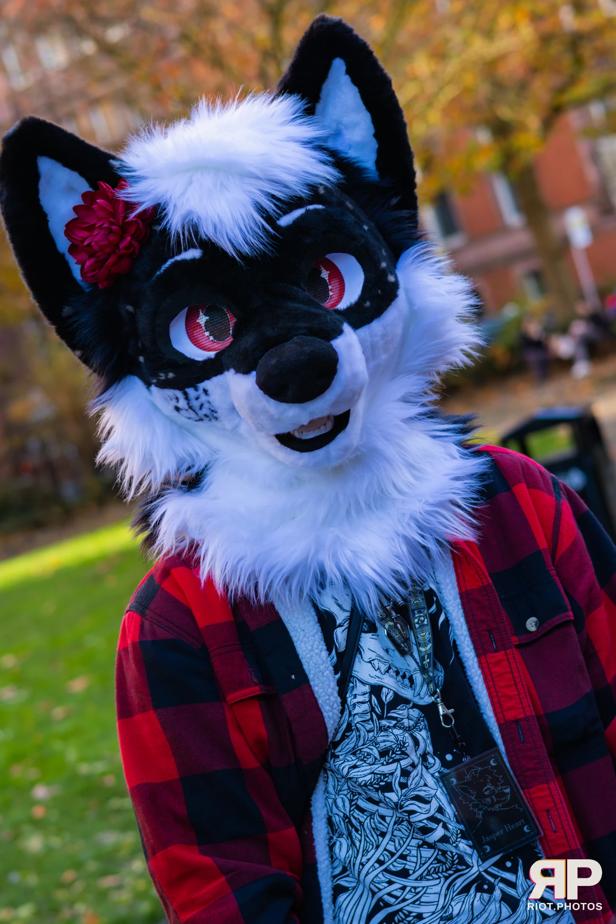 MancFurs - November, 2025 — 08 Nov 2025, Fluffy Riot photography — photo 16