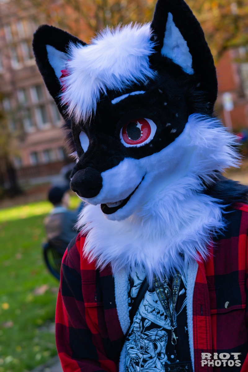 2025-11-08 MancFurs-202511-017.jpg