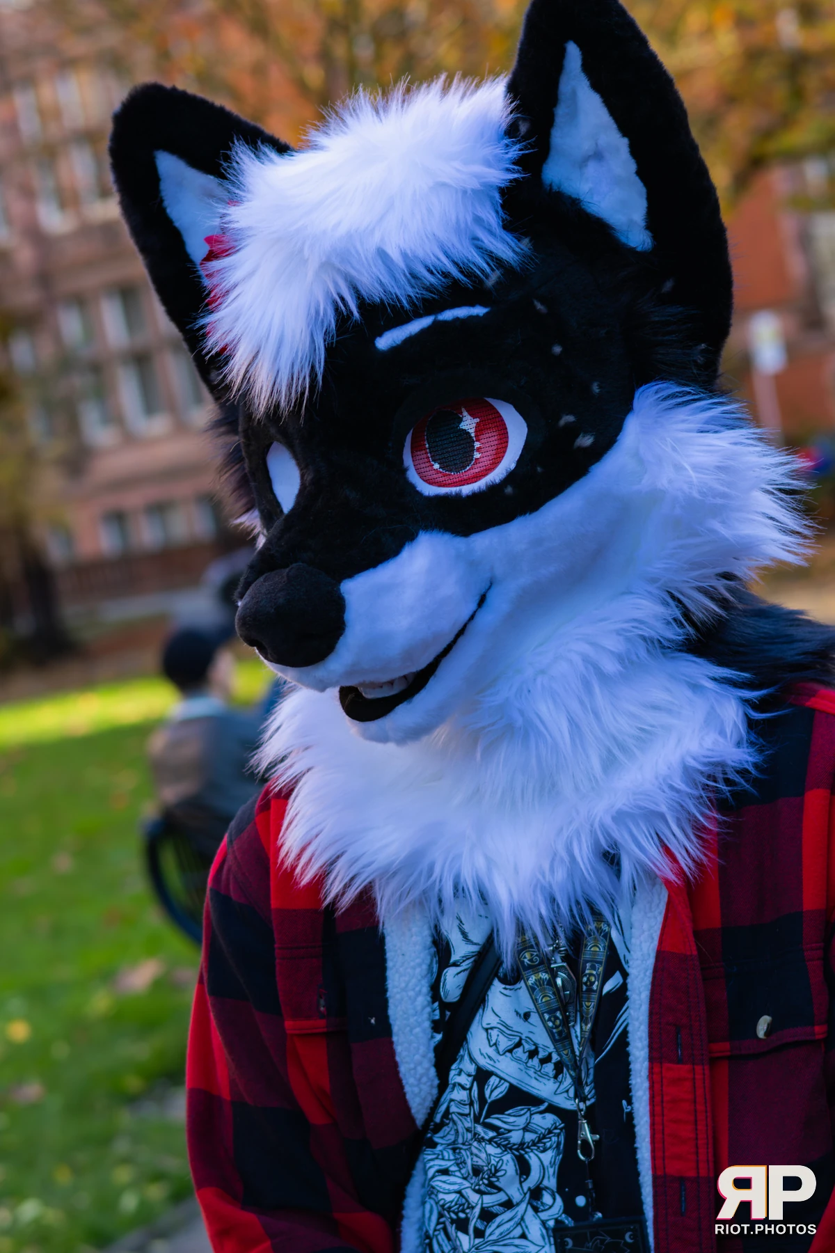 MancFurs - November, 2025 — 08 Nov 2025, Fluffy Riot photography — photo 17