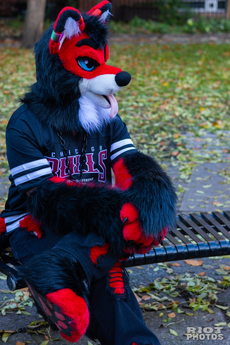 2025-11-08 MancFurs-202511-018.jpg