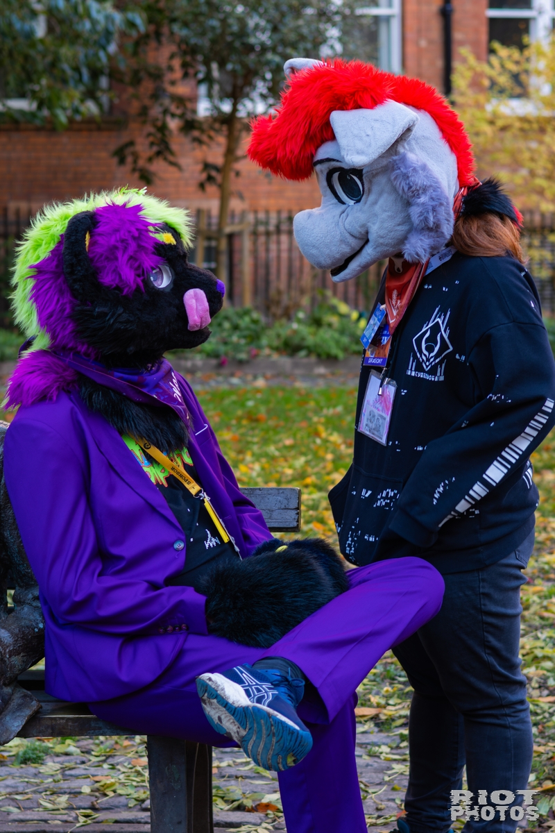 2025-11-08 MancFurs-202511-020.jpg