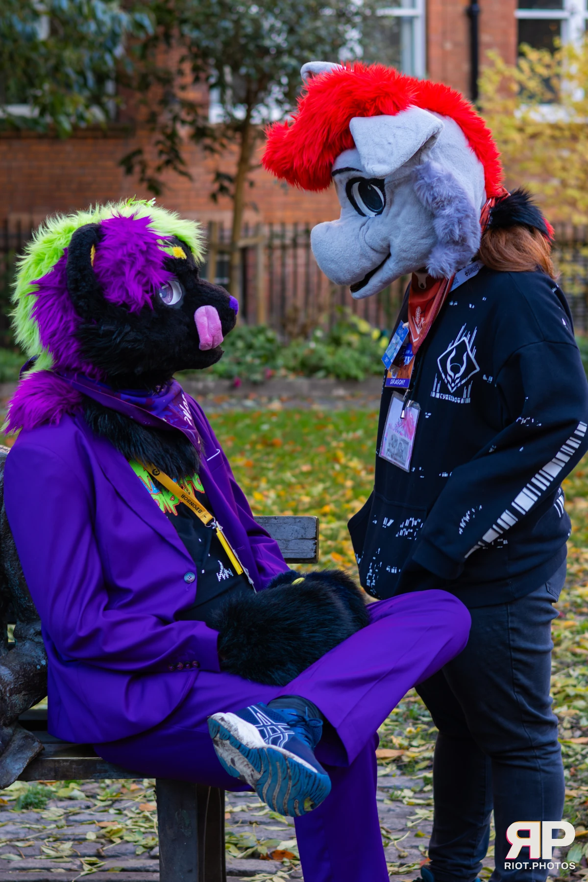 MancFurs - November, 2025 — 08 Nov 2025, Fluffy Riot photography — photo 20