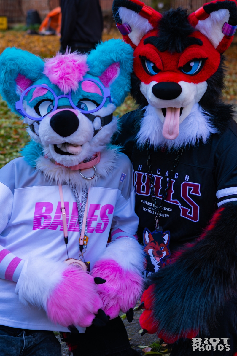 2025-11-08 MancFurs-202511-021.jpg