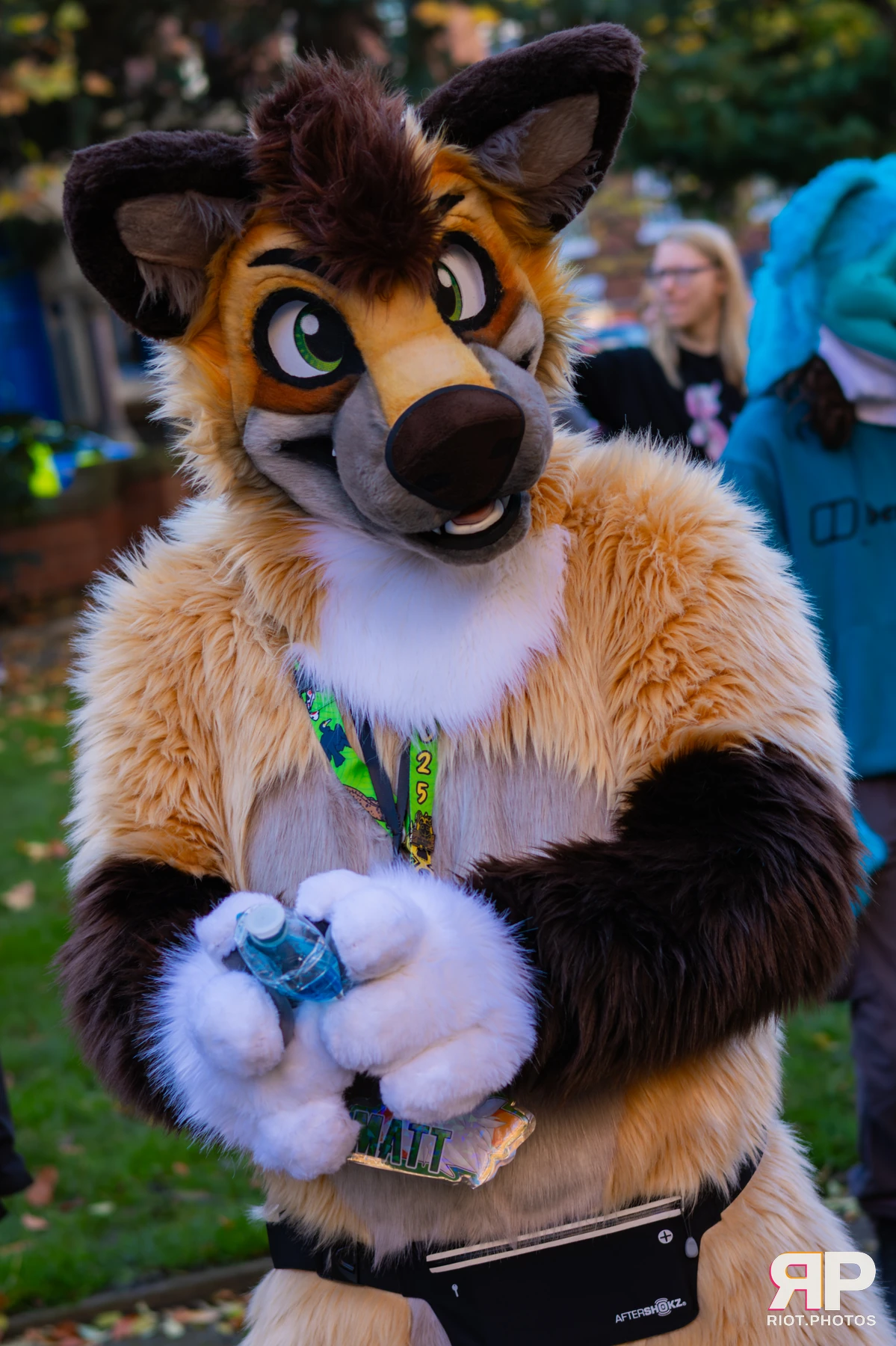 MancFurs - November, 2025 — 08 Nov 2025, Fluffy Riot photography — photo 22