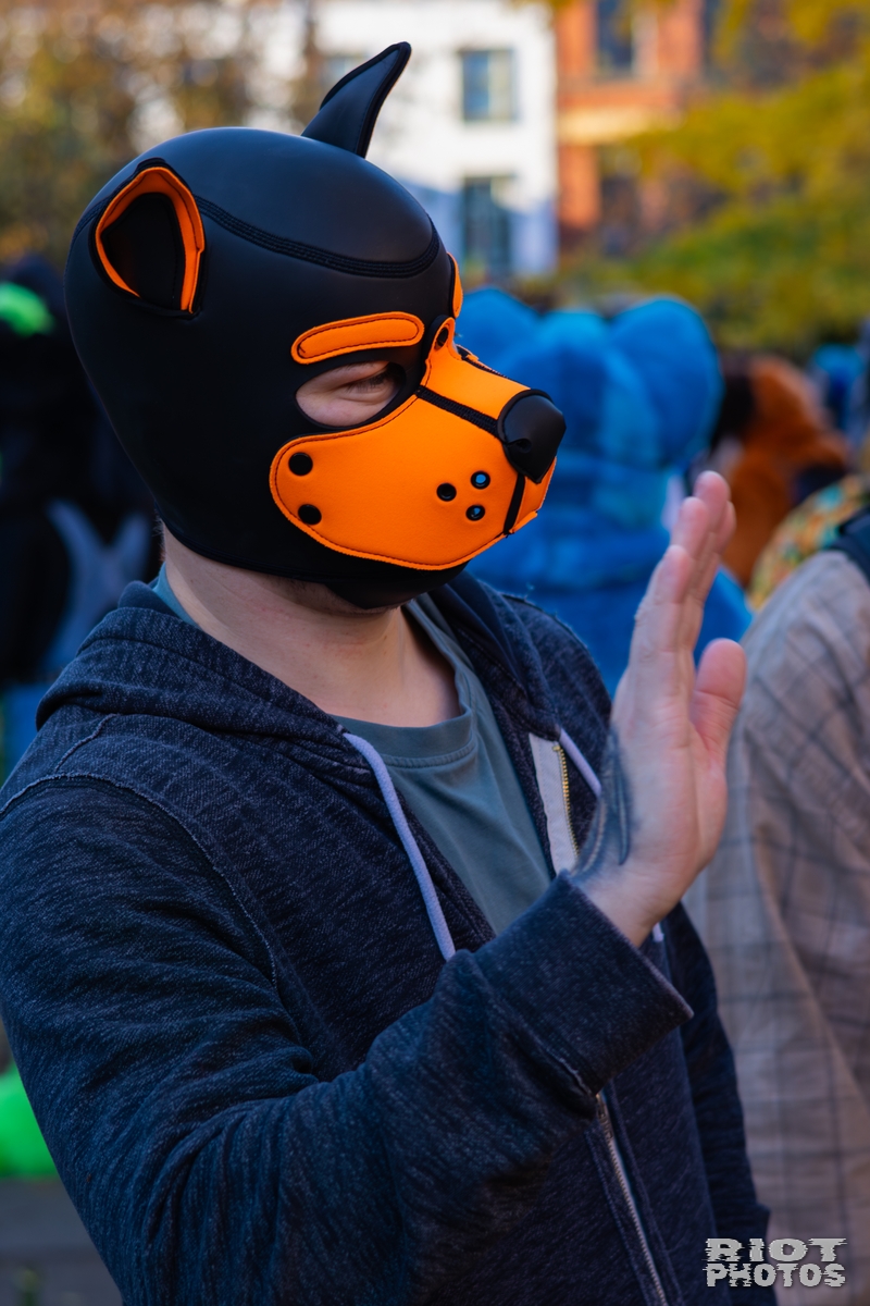2025-11-08 MancFurs-202511-023.jpg