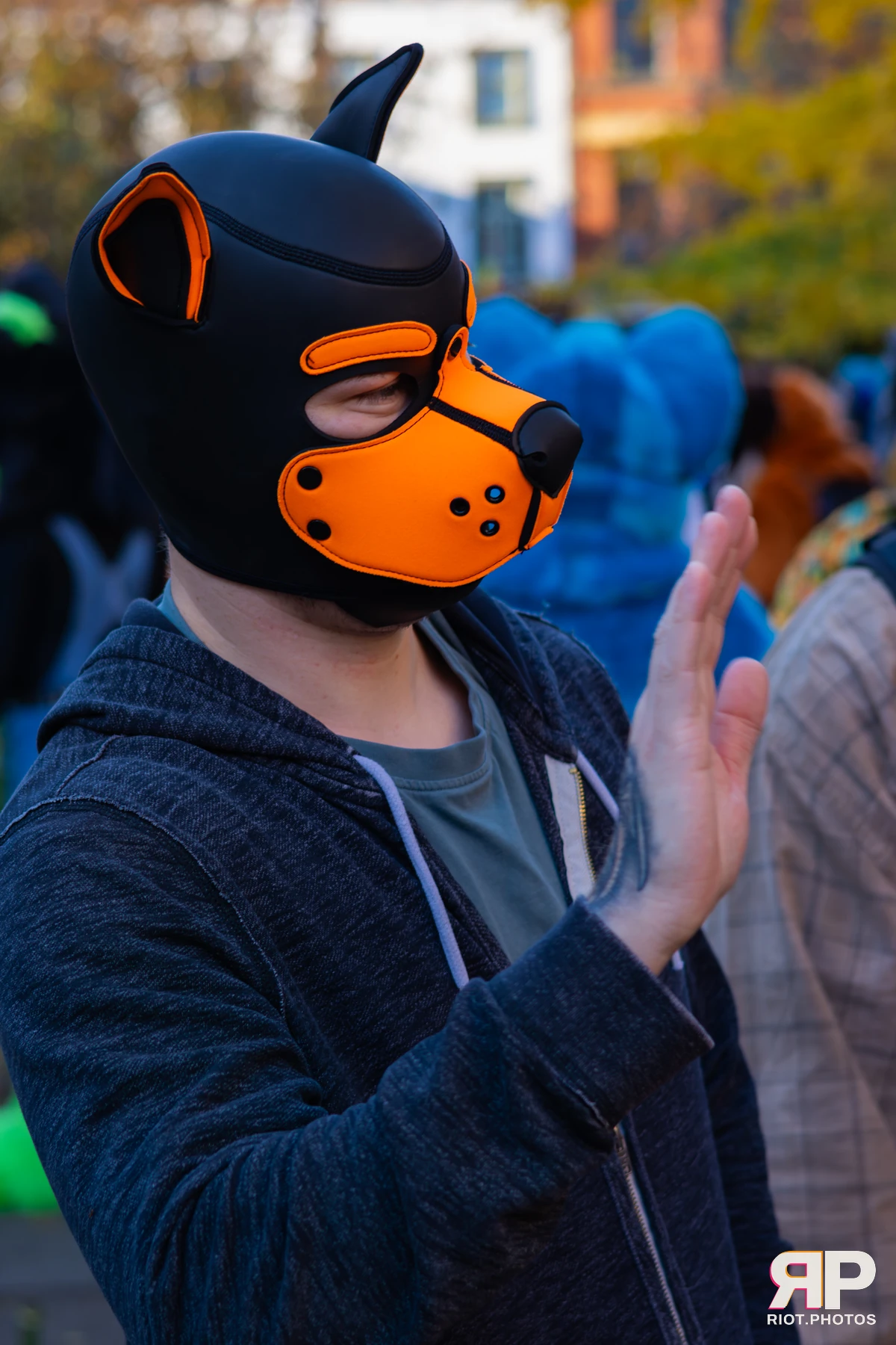 MancFurs - November, 2025 — 08 Nov 2025, Fluffy Riot photography — photo 23