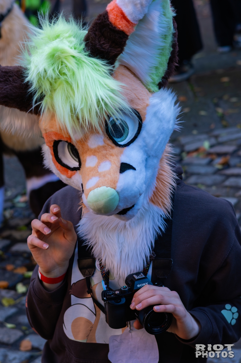 2025-11-08 MancFurs-202511-025.jpg