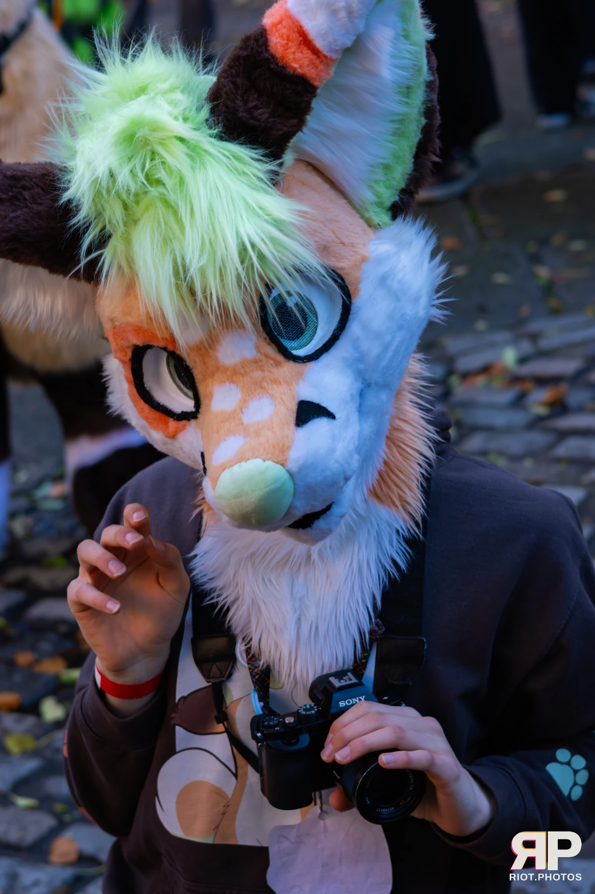 MancFurs - November, 2025 — 08 Nov 2025, Fluffy Riot photography — photo 25