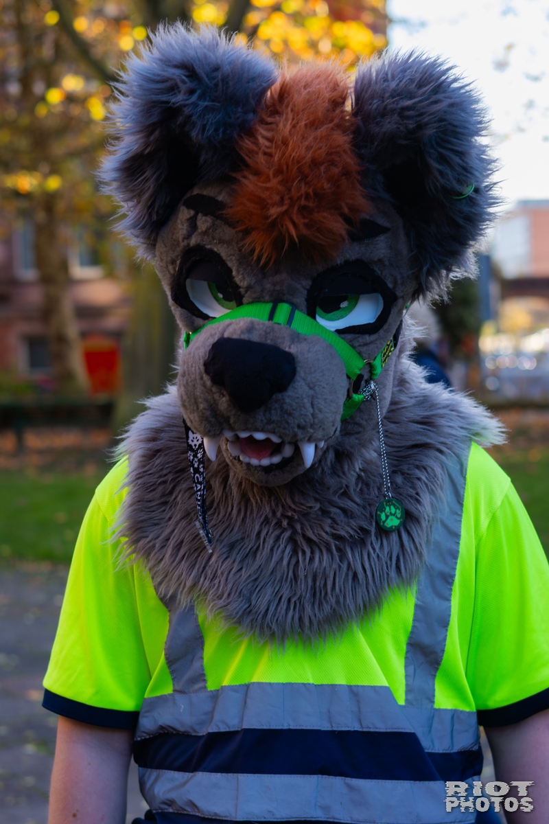 2025-11-08 MancFurs-202511-026.jpg