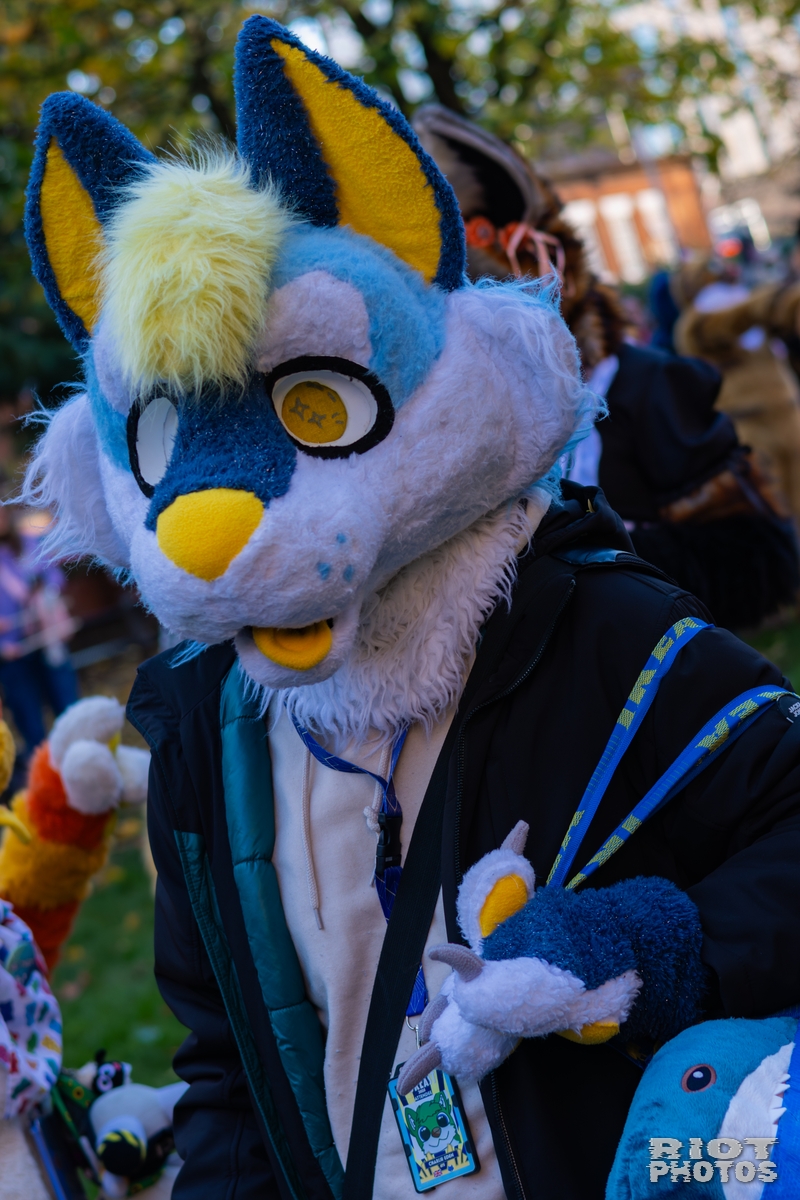2025-11-08 MancFurs-202511-027.jpg