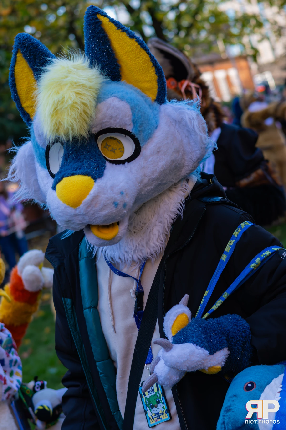 MancFurs - November, 2025 — 08 Nov 2025, Fluffy Riot photography — photo 27