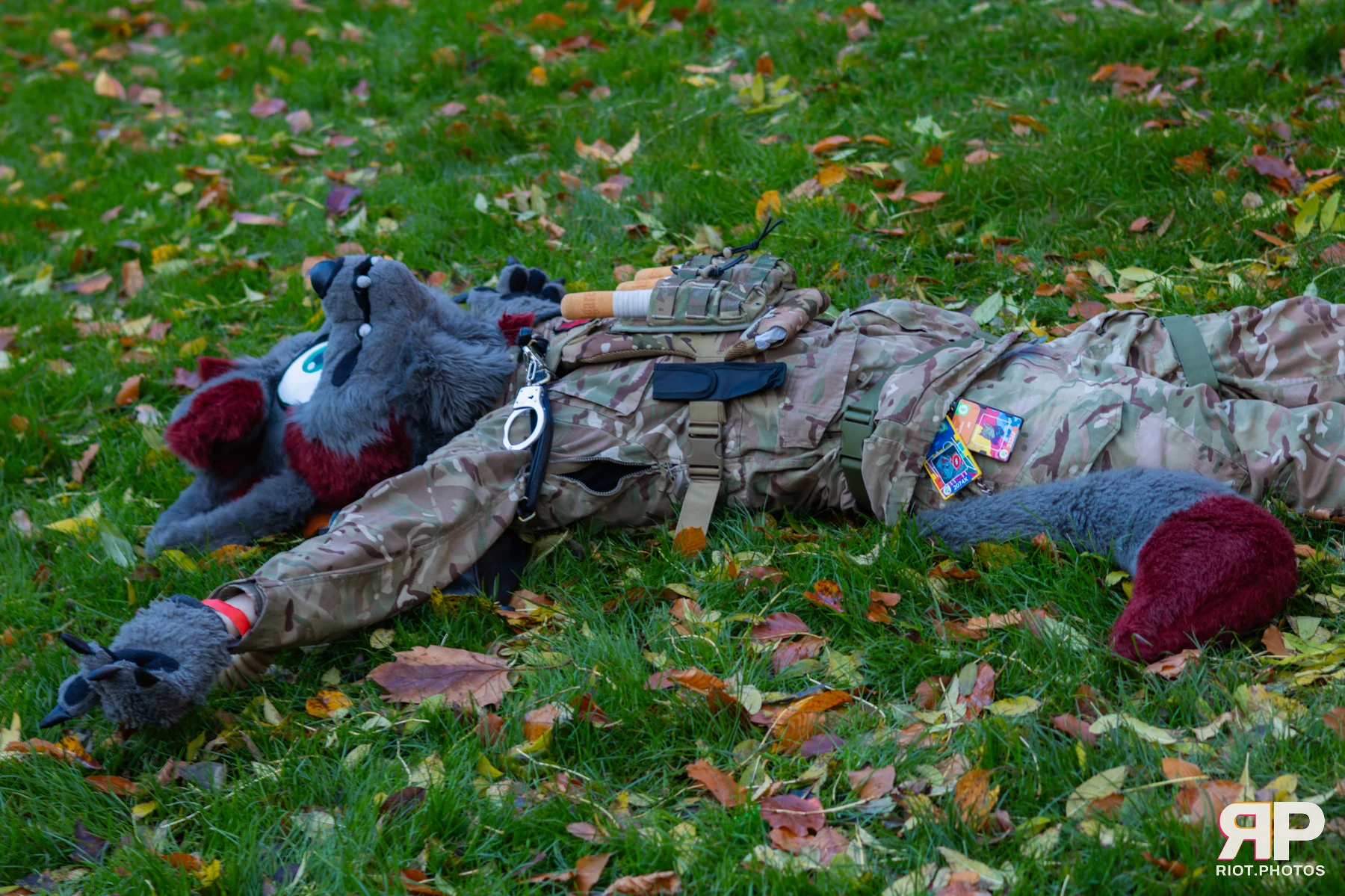 MancFurs - November, 2025 — 08 Nov 2025, Fluffy Riot photography — photo 28