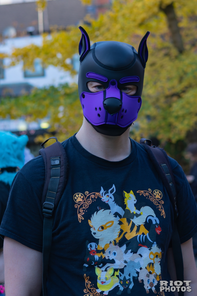 2025-11-08 MancFurs-202511-030.jpg