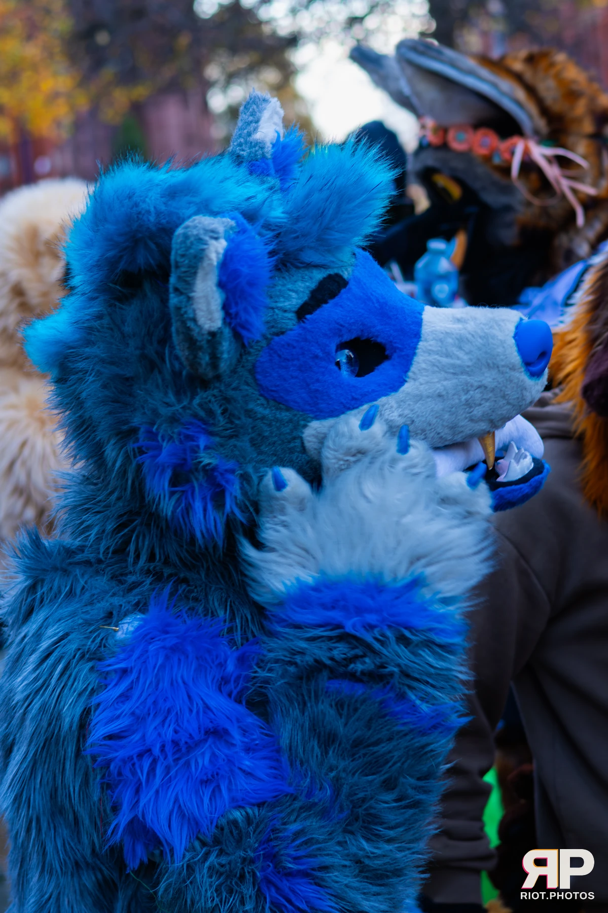MancFurs - November, 2025 — 08 Nov 2025, Fluffy Riot photography — photo 31