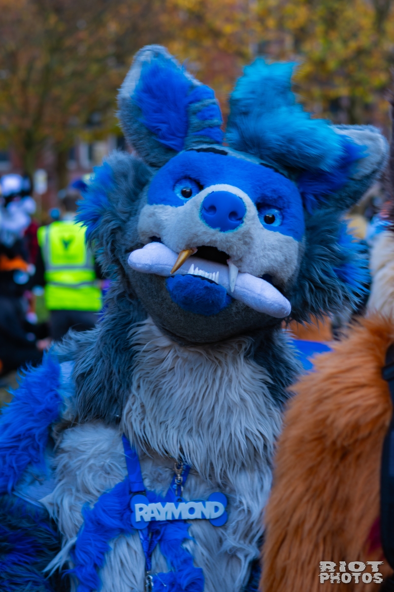 2025-11-08 MancFurs-202511-032.jpg