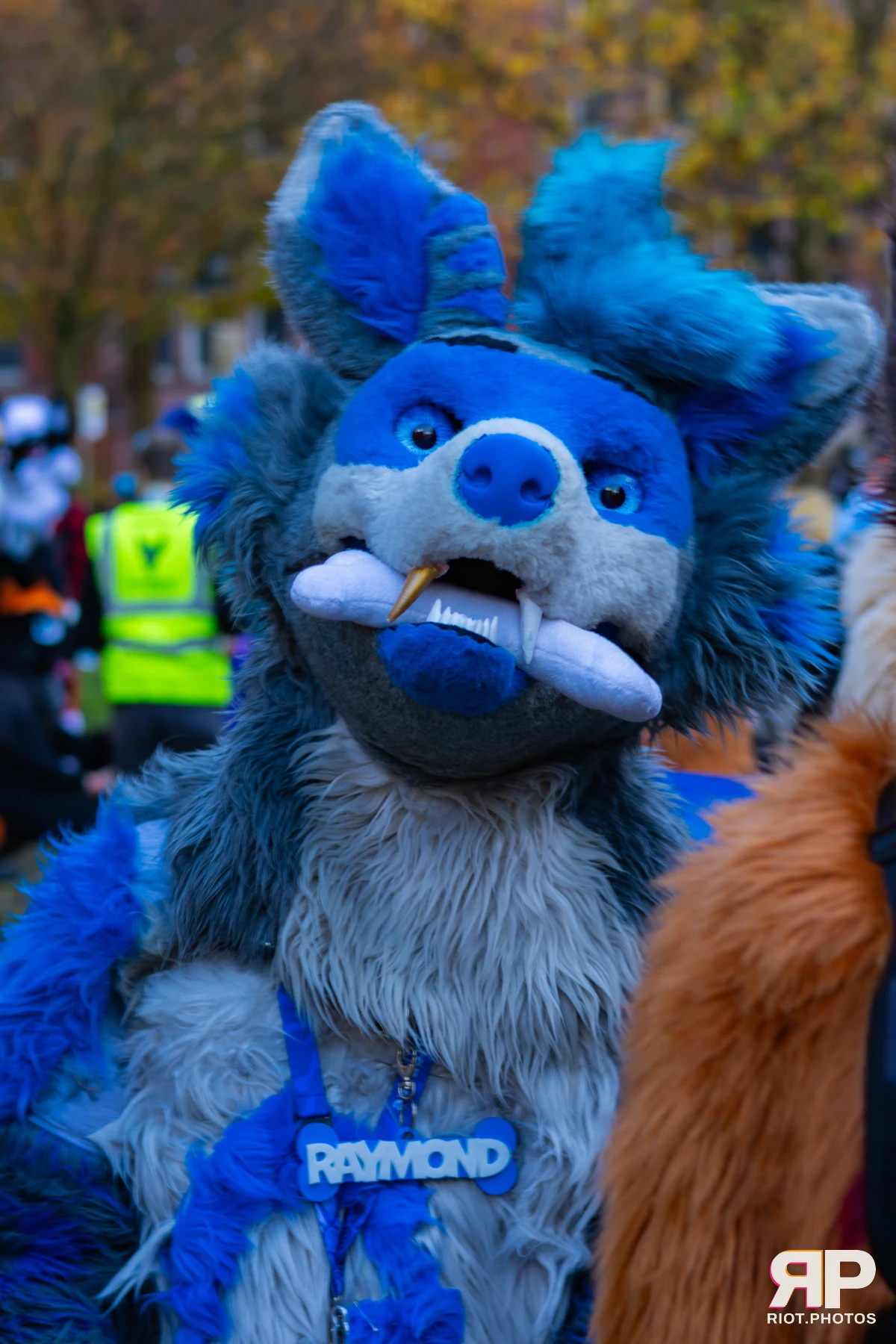 MancFurs - November, 2025 — 08 Nov 2025, Fluffy Riot photography — photo 32