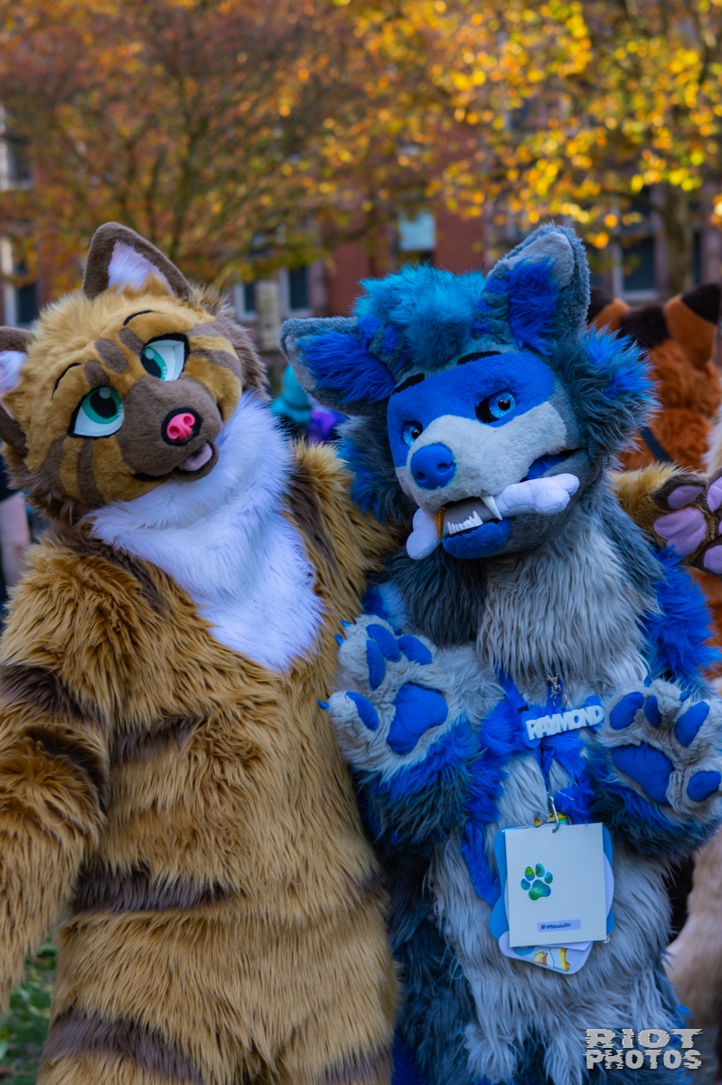 2025-11-08 MancFurs-202511-033.jpg
