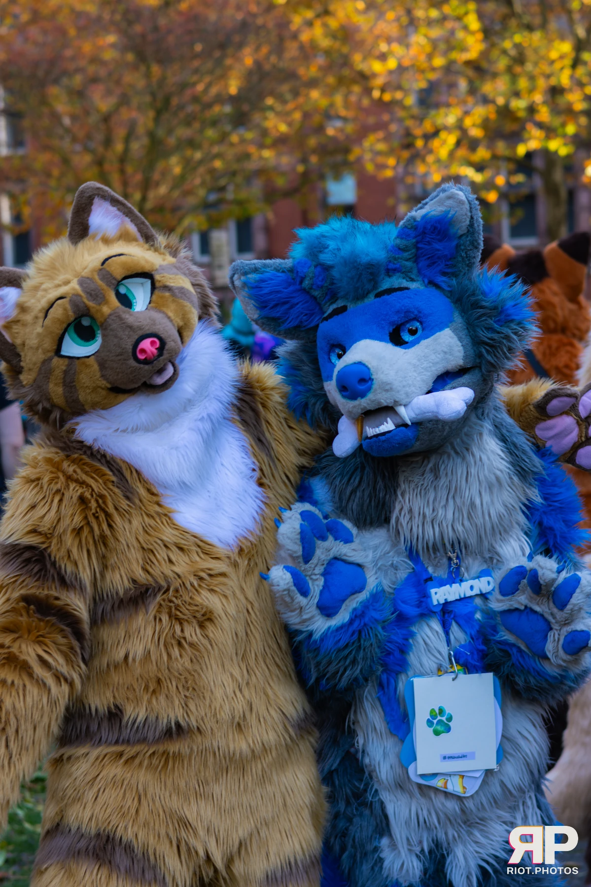 MancFurs - November, 2025 — 08 Nov 2025, Fluffy Riot photography — photo 33