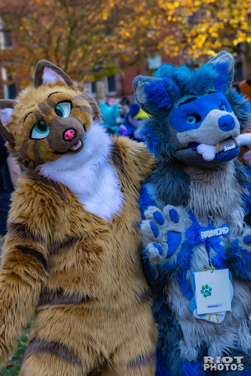 2025-11-08 MancFurs-202511-034.jpg