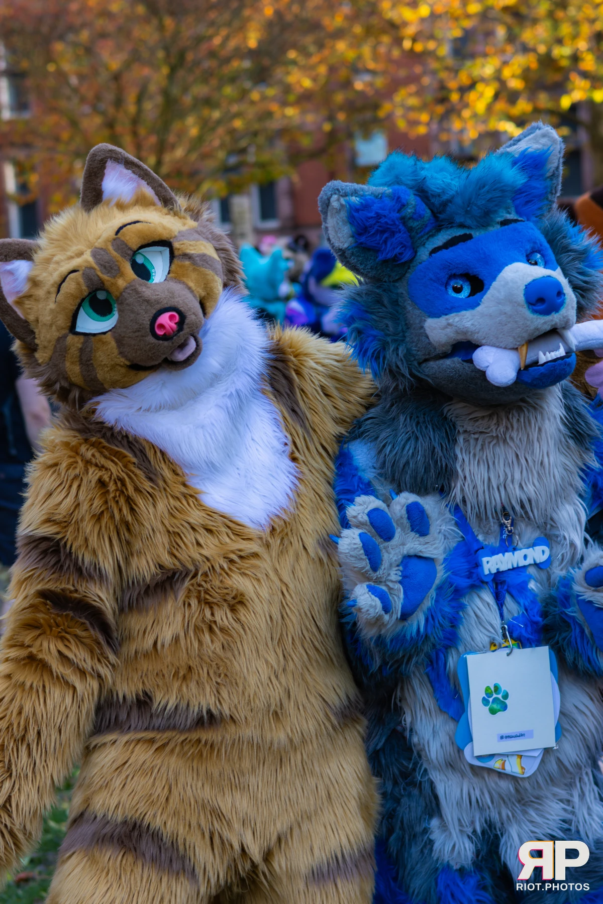 MancFurs - November, 2025 — 08 Nov 2025, Fluffy Riot photography — photo 34