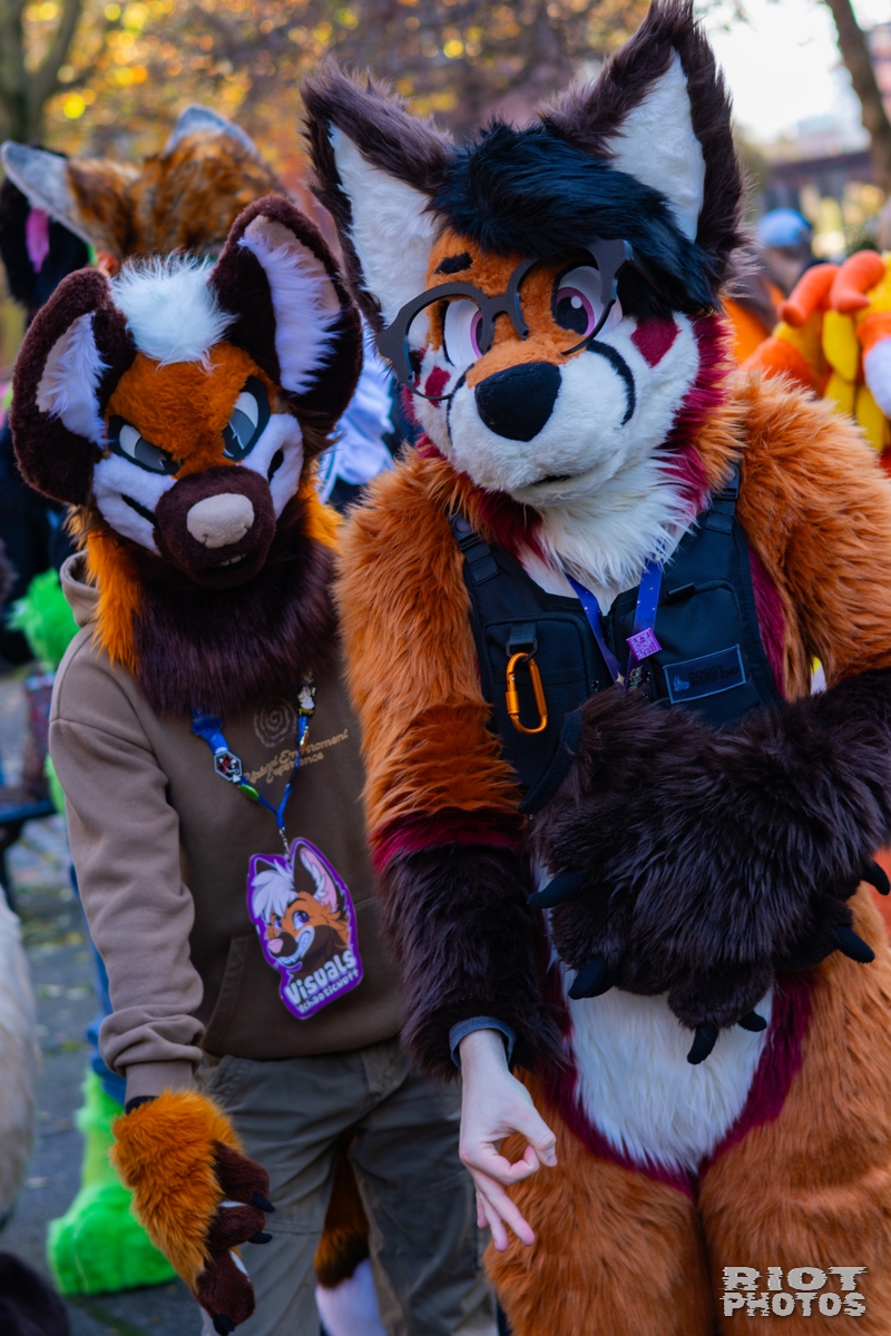 2025-11-08 MancFurs-202511-035.jpg