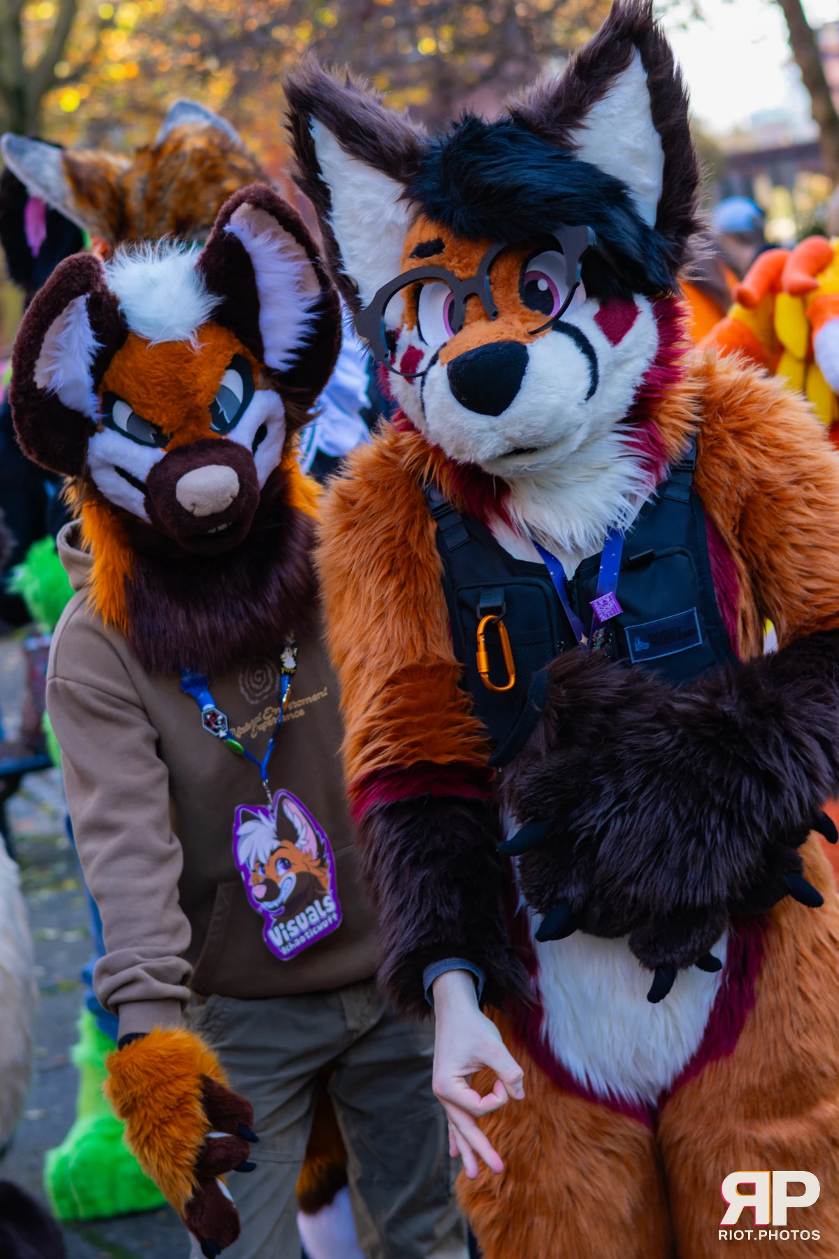 MancFurs - November, 2025 — 08 Nov 2025, Fluffy Riot photography — photo 35