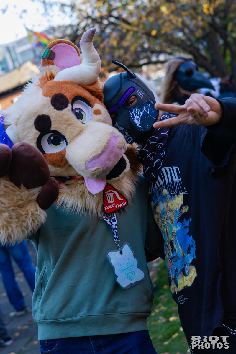 2025-11-08 MancFurs-202511-036.jpg