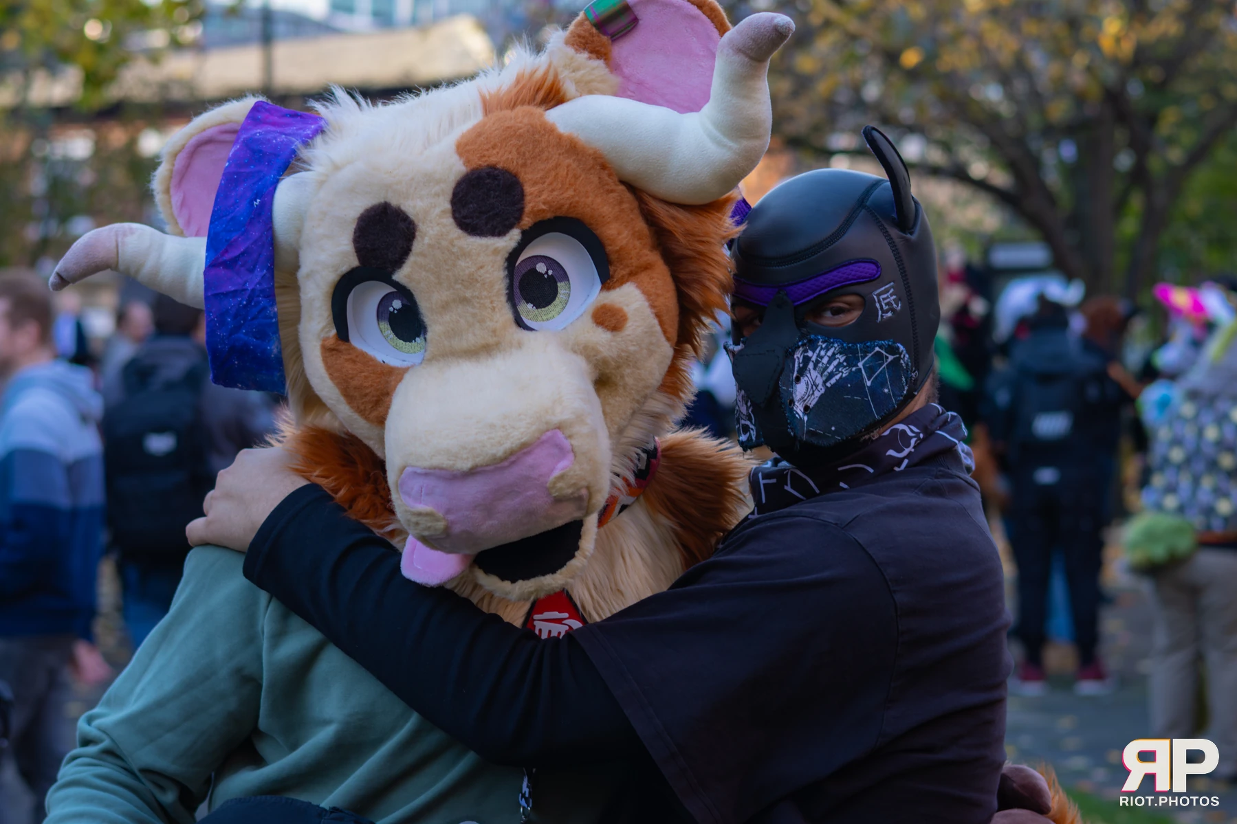 MancFurs - November, 2025 — 08 Nov 2025, Fluffy Riot photography — photo 37