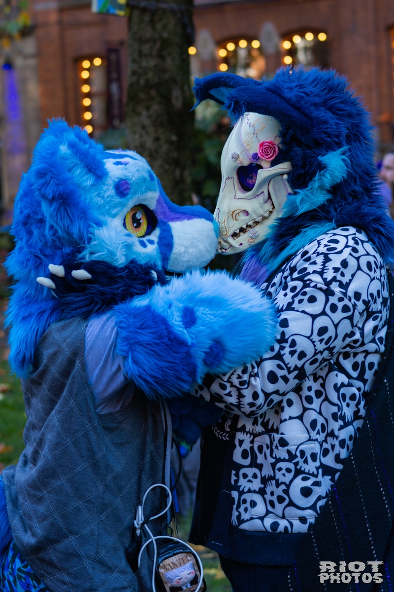 2025-11-08 MancFurs-202511-039.jpg