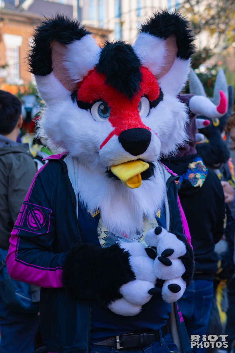 2025-11-08 MancFurs-202511-041.jpg