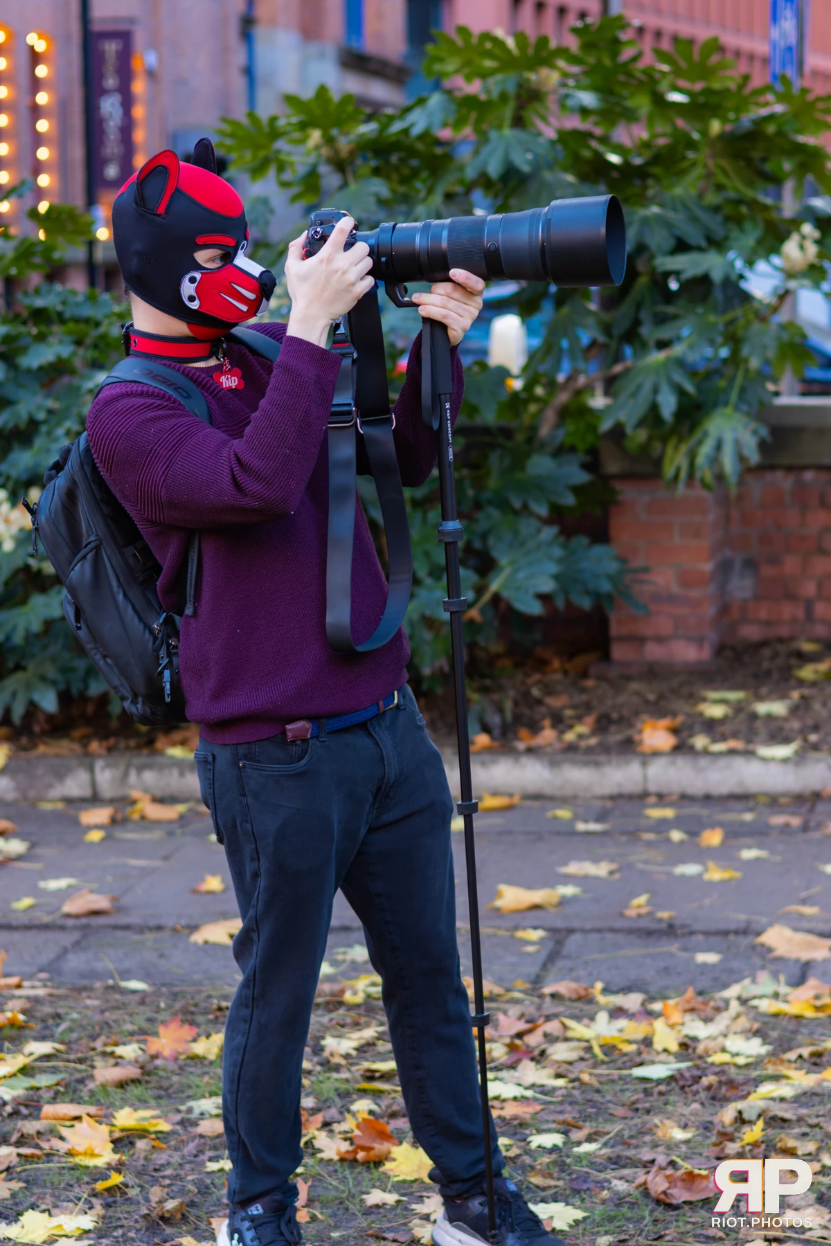 MancFurs - November, 2025 — 08 Nov 2025, Fluffy Riot photography — photo 42