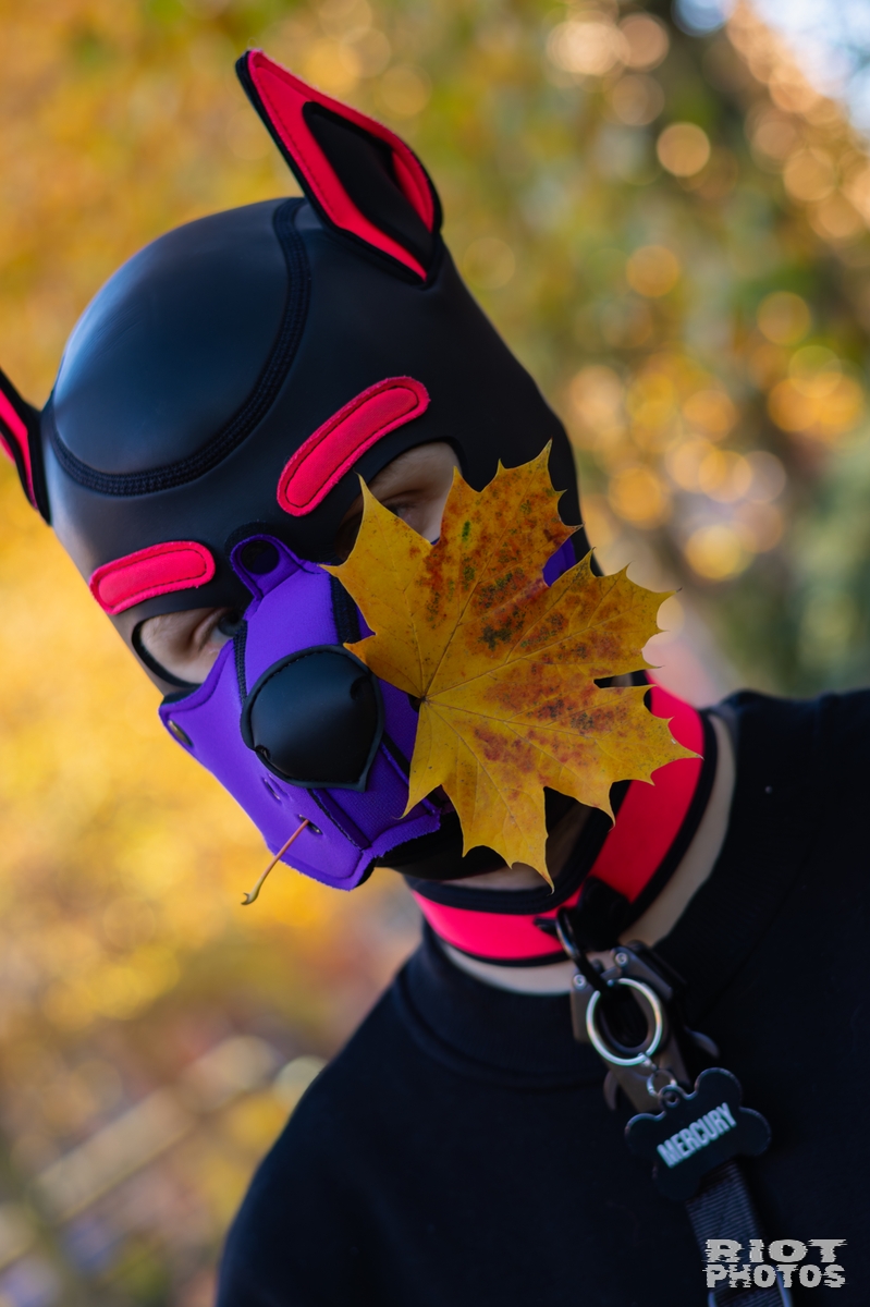 2025-11-08 MancFurs-202511-044.jpg