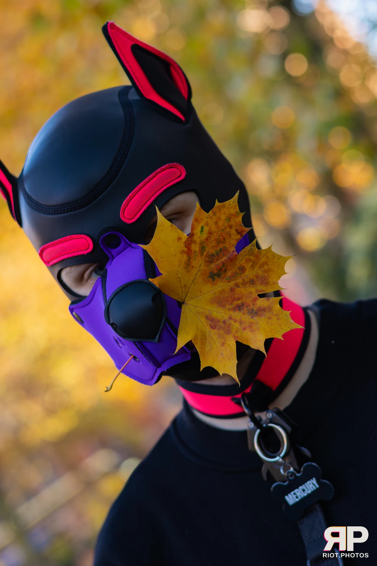 Mercury — furry & pup photography by Fluffy Riot — photo 108