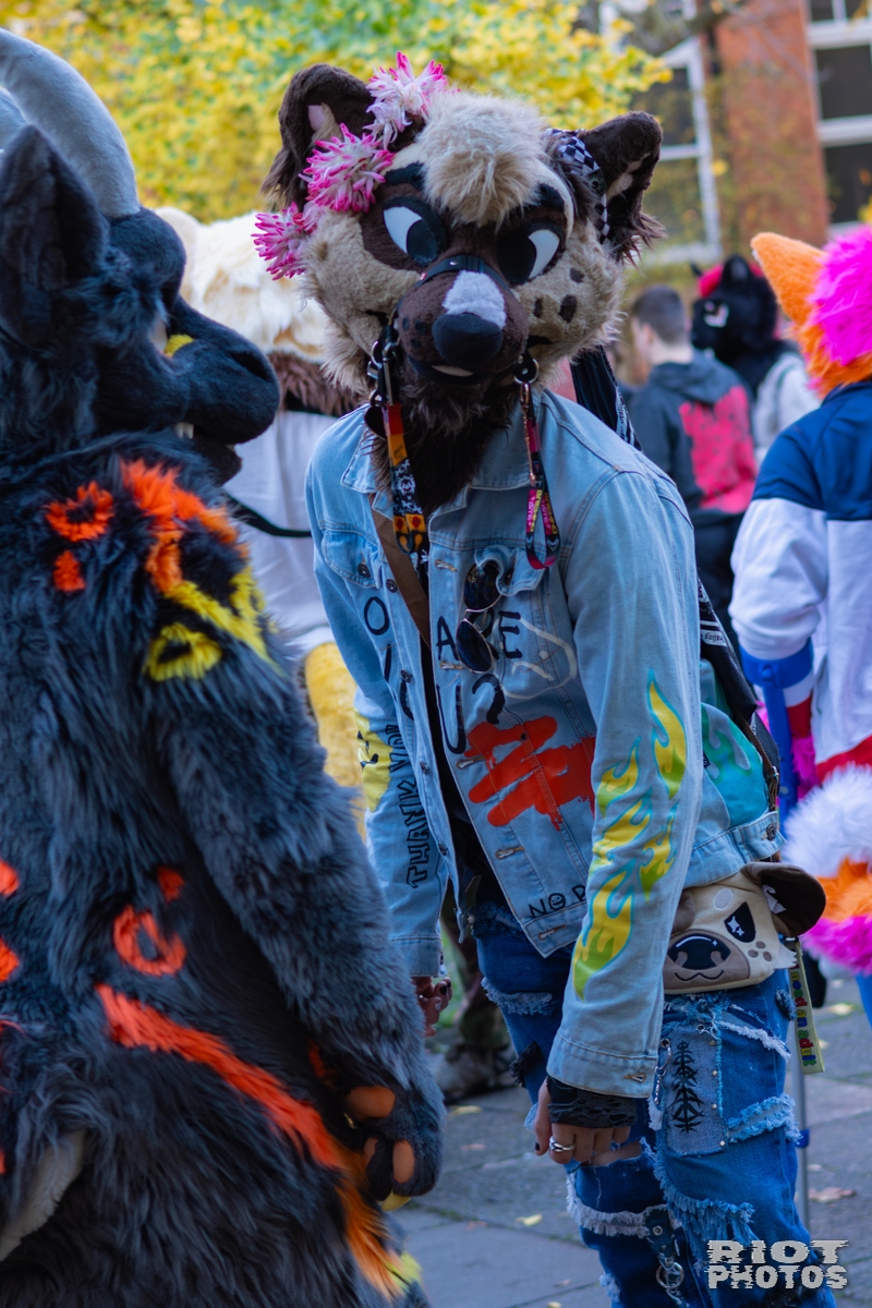 2025-11-08 MancFurs-202511-045.jpg