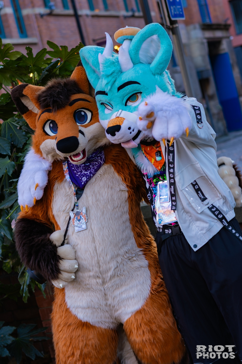 2025-11-08 MancFurs-202511-046.jpg