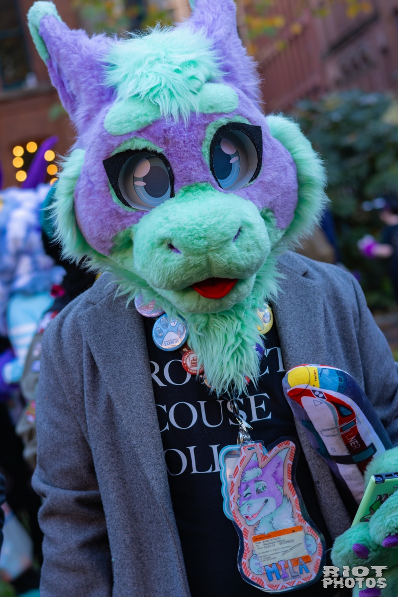 2025-11-08 MancFurs-202511-048.jpg