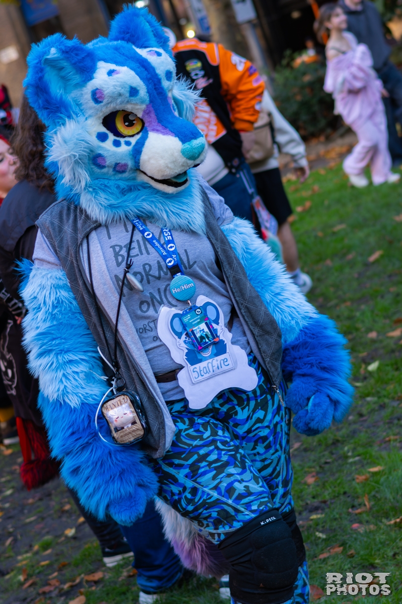 2025-11-08 MancFurs-202511-049.jpg