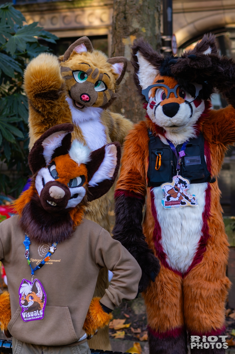 2025-11-08 MancFurs-202511-052.jpg