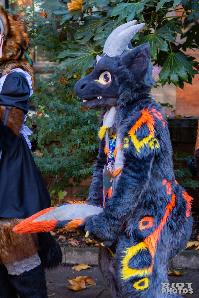 2025-11-08 MancFurs-202511-054.jpg