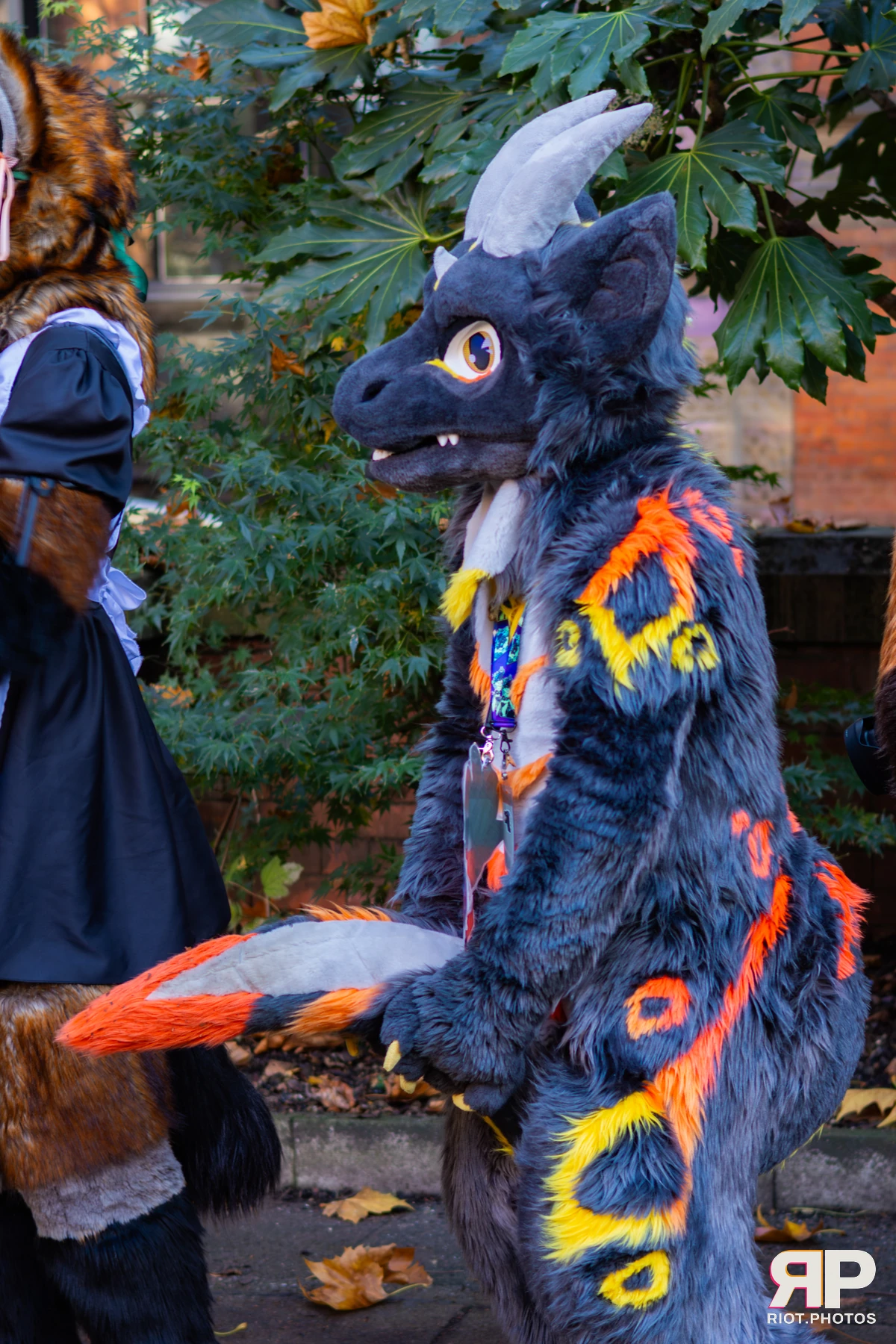 MancFurs - November, 2025 — 08 Nov 2025, Fluffy Riot photography — photo 54