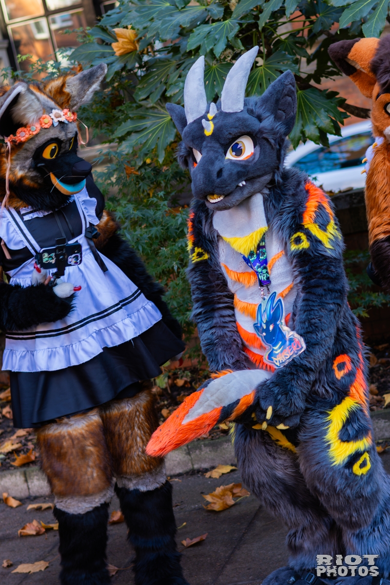 2025-11-08 MancFurs-202511-055.jpg