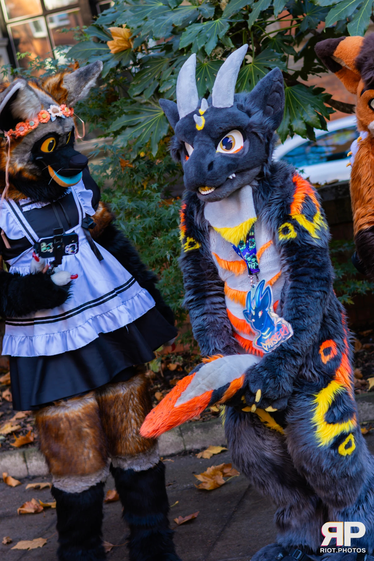 MancFurs - November, 2025 — 08 Nov 2025, Fluffy Riot photography — photo 55