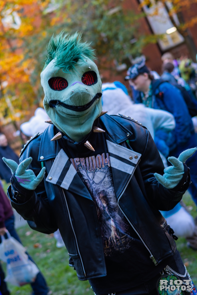 2025-11-08 MancFurs-202511-056.jpg