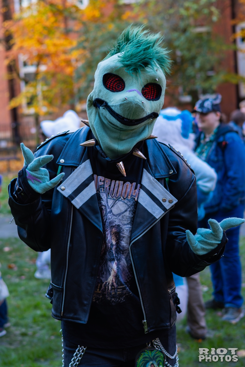 2025-11-08 MancFurs-202511-057.jpg