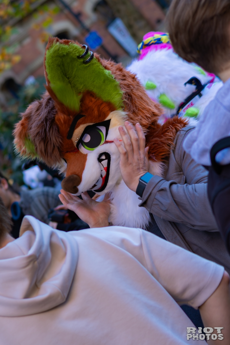 2025-11-08 MancFurs-202511-058.jpg